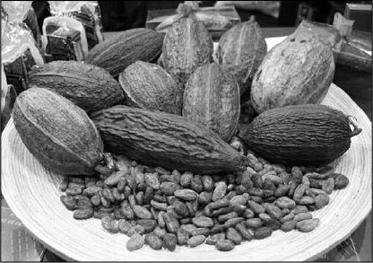 Иллюстрация к книге — Секс, водка, потанцуем? Природа удовольствий [i_046.jpg]