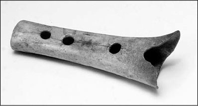 Иллюстрация к книге — Секс, водка, потанцуем? Природа удовольствий [i_055.jpg]