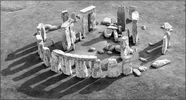 Иллюстрация к книге — Секс, водка, потанцуем? Природа удовольствий [i_056.jpg]