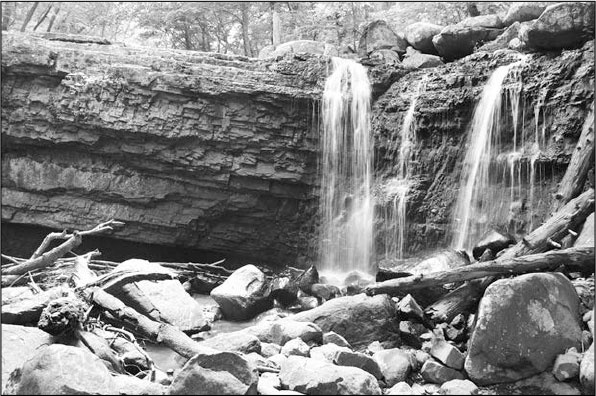 Иллюстрация к книге — Секс, водка, потанцуем? Природа удовольствий [i_057.jpg]