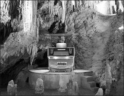 Иллюстрация к книге — Секс, водка, потанцуем? Природа удовольствий [i_058.jpg]