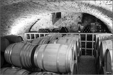 Иллюстрация к книге — Секс, водка, потанцуем? Природа удовольствий [i_068.jpg]