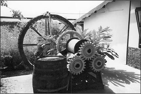 Иллюстрация к книге — Секс, водка, потанцуем? Природа удовольствий [i_081.jpg]