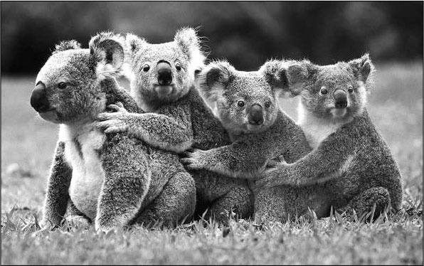 Иллюстрация к книге — Секс, водка, потанцуем? Природа удовольствий [i_101.jpg]