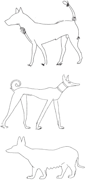 Иллюстрация к книге — Красная земля, Черная земля. Древний Египет: легенды и факты [i_010.jpg]