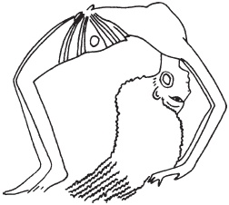 Иллюстрация к книге — Красная земля, Черная земля. Древний Египет: легенды и факты [i_028.jpg]