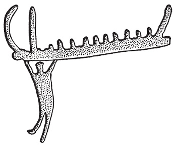 Иллюстрация к книге — Древние скандинавы. Сыны северных богов [pic_11.jpg]