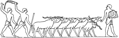 Иллюстрация к книге — Государство, армия и общество Древнего Египта [i_135.jpg]