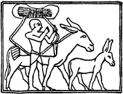 Иллюстрация к книге — Государство, армия и общество Древнего Египта [i_137.jpg]