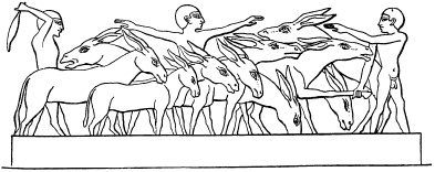 Иллюстрация к книге — Государство, армия и общество Древнего Египта [i_138.jpg]