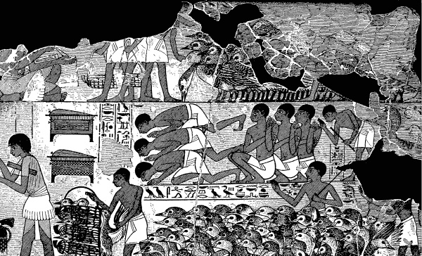 Иллюстрация к книге — Государство, армия и общество Древнего Египта [i_152.jpg]