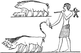 Иллюстрация к книге — Государство, армия и общество Древнего Египта [i_153.jpg]