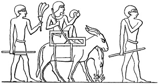 Иллюстрация к книге — Государство, армия и общество Древнего Египта [i_186.jpg]