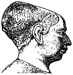 Иллюстрация к книге — Жизнь в Древнем Египте [i_090.jpg]