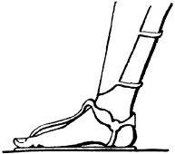 Иллюстрация к книге — Жизнь в Древнем Египте [i_113.jpg]