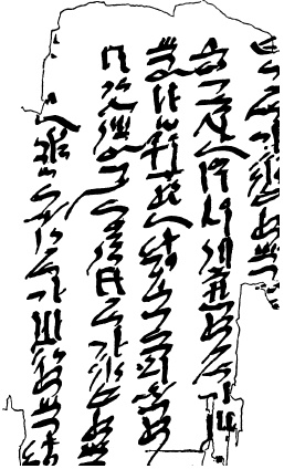 Иллюстрация к книге — Жизнь в Древнем Египте [i_301.jpg]