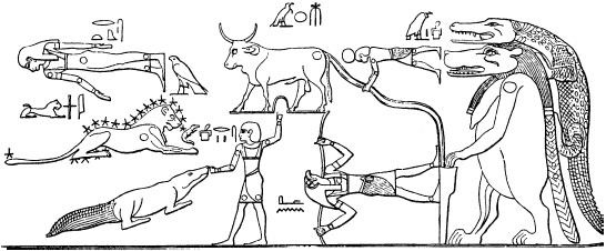 Иллюстрация к книге — Жизнь в Древнем Египте [i_310.jpg]