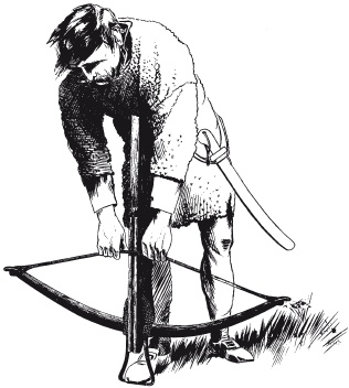 Иллюстрация к книге — Эволюция оружия. От каменной дубинки до гаубицы [i_008.jpg]