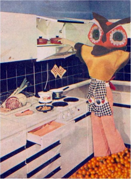 Иллюстрация к книге — Совпалыч [i_005.jpg]