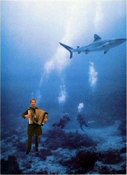 Иллюстрация к книге — Совпалыч [i_006.jpg]