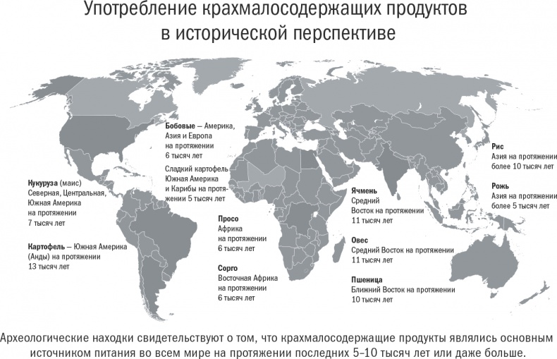 Иллюстрация к книге — Энергия крахмала. Ешьте вкусно, заботьтесь о здоровье и худейте навсегда [i_002.jpg]