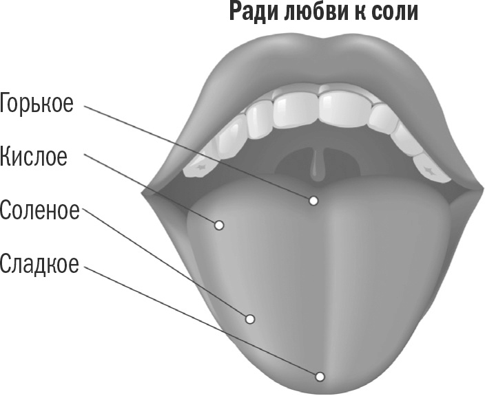 Иллюстрация к книге — Энергия крахмала. Ешьте вкусно, заботьтесь о здоровье и худейте навсегда [i_019.jpg]
