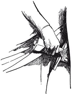 Иллюстрация к книге — Меч в век рыцарства. Классификация, типология, описание [i_088.jpg]