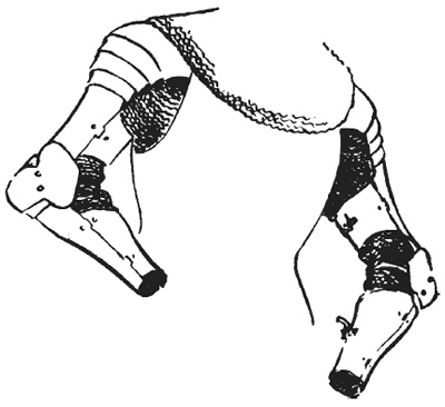 Иллюстрация к книге — Рыцарь и его доспехи. Латное облачение и вооружение [i_020.jpg]