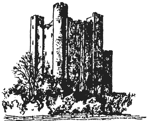 Иллюстрация к книге — Рыцарь и его замок. Средневековые крепости и осадные сооружения [i_011.jpg]