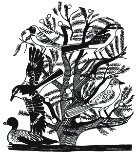 Иллюстрация к книге — Боги и люди Древнего Египта [_072.jpg]