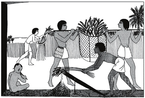 Иллюстрация к книге — Боги и люди Древнего Египта [_161.jpg]