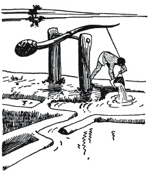 Иллюстрация к книге — Боги и люди Древнего Египта [_163.jpg]