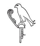 Иллюстрация к книге — Нил и египетская цивилизация [i_032.jpg]