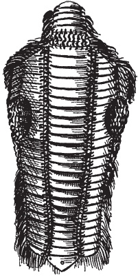 Иллюстрация к книге — Доспехи народов Востока. История оборонительного вооружения [i_068.jpg]