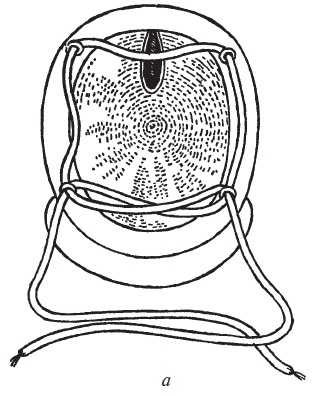 Иллюстрация к книге — Доспехи народов Востока. История оборонительного вооружения [i_173.jpg]