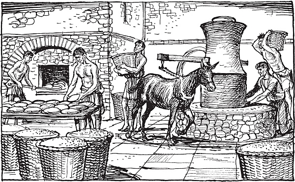 Иллюстрация к книге — Древний Рим. Быт, религия, культура [_37.jpg]