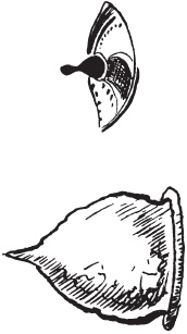 Иллюстрация к книге — Археология оружия. От бронзового века до эпохи Ренессанса [i_080.jpg]