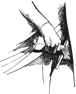 Иллюстрация к книге — Археология оружия. От бронзового века до эпохи Ренессанса [i_112.jpg]