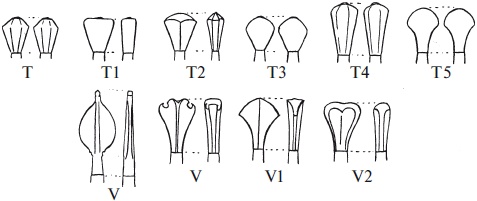 Иллюстрация к книге — Археология оружия. От бронзового века до эпохи Ренессанса [i_155.jpg]
