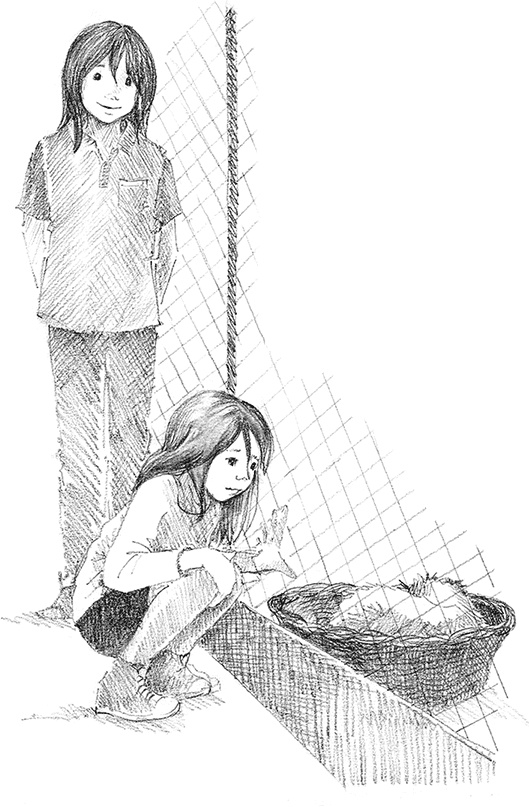 Иллюстрация к книге — Щенок Сид, или Лучший трюк [i_006.jpg]