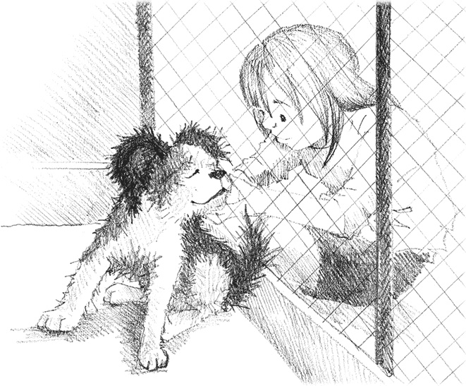 Иллюстрация к книге — Щенок Сид, или Лучший трюк [i_008.jpg]