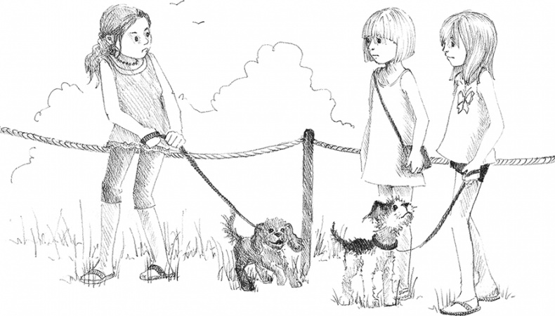 Иллюстрация к книге — Щенок Сид, или Лучший трюк [i_031.jpg]