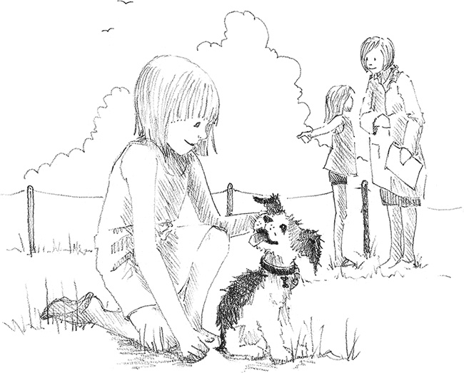 Иллюстрация к книге — Щенок Сид, или Лучший трюк [i_034.jpg]