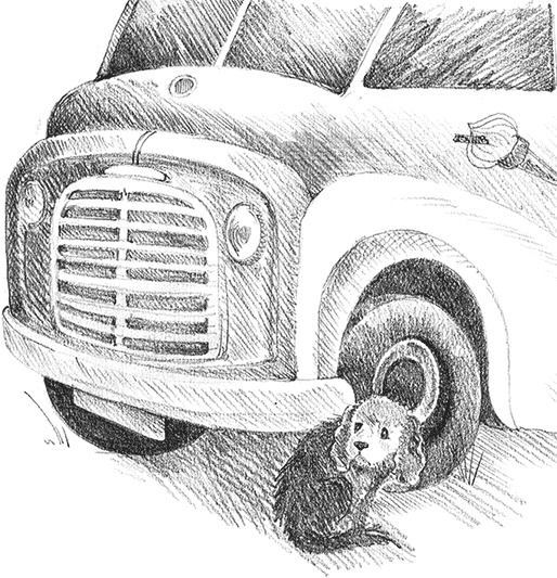 Иллюстрация к книге — Щенок Сид, или Лучший трюк [i_035.jpg]