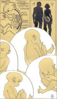 Иллюстрация к книге — Хромосома Христа, или Эликсир бессмертия [i_003.jpg]