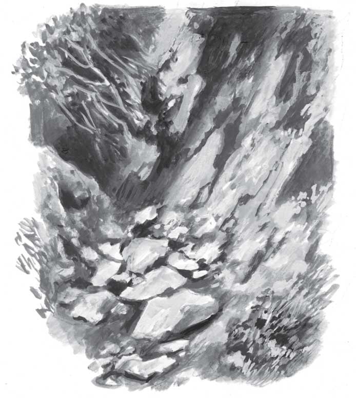 Иллюстрация к книге — Пожар Саниры [i_003.jpg]