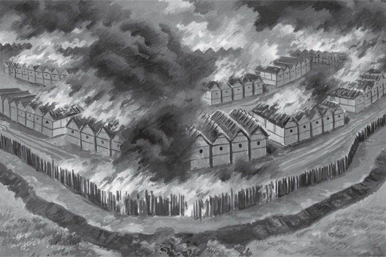 Иллюстрация к книге — Пожар Саниры [i_006.jpg]