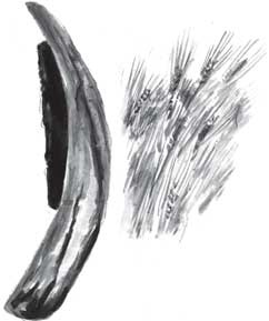 Иллюстрация к книге — Пожар Саниры [i_021.jpg]