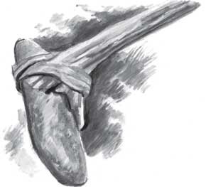 Иллюстрация к книге — Пожар Саниры [i_025.jpg]