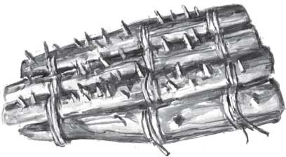 Иллюстрация к книге — Пожар Саниры [i_027.jpg]